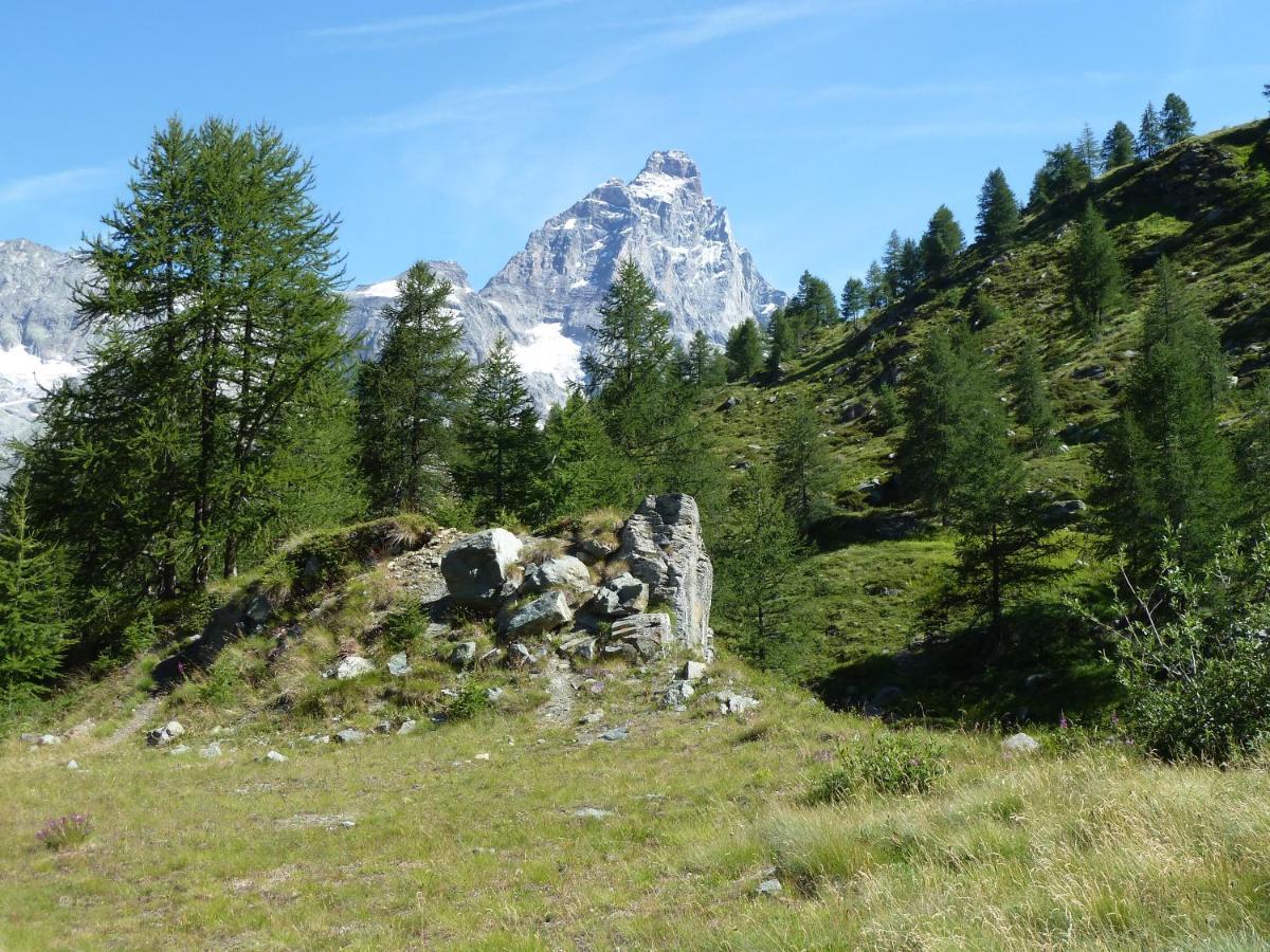 Appartamento Le Petit Refuge Cervinia Breuil-Cervinia Esterno foto